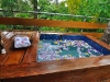bungalow-private-dipping-pool2 bungalow-private-dipping-pool2