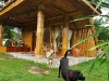bungalow-with-doggy bungalow-with-doggy