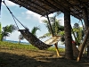 hammock hammock