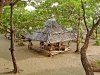picnic-shed