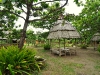 picnic-shed_0 picnic-shed_0
