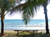 solymar-beachfront-coconut solymar-beachfront-coconut