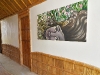 solymar-room-earth solymar-room-earth