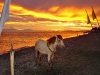 solymar-sunset