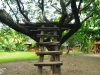 tree-ladder tree-ladder