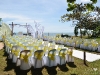 wedding-rc-3 wedding-rc-3