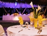 wedding-rc-8 wedding-rc-8