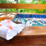 Bungalow-II private dipping pool Bungalow-II private dipping pool